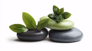 禅意石与绿叶的静谧组合