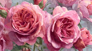 粉色玫瑰水彩画花卉图景