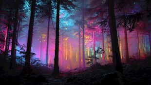 梦幻森林中的绚丽光影奇观