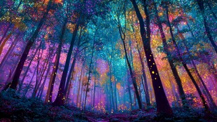 梦幻多彩森林夜景