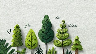 纸艺绿植装饰画清新场景