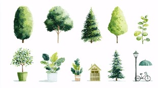 水彩风多样绿植景观集合