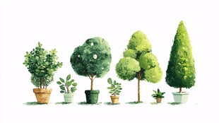 一排可爱盆栽绿植插画