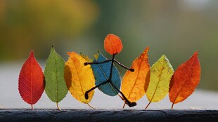 秋叶拼成的活力小人