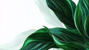 翠绿叶片的灵动艺术画面