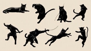 猫咪多样动态剪影集合