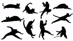 猫咪多样姿态剪影