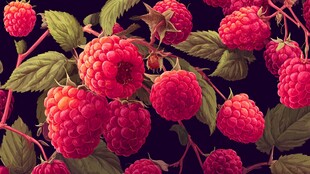 鲜艳树莓与绿叶的美妙组合