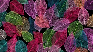 彩色叶片图案背景纹理