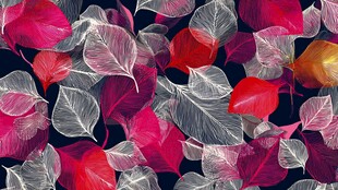 多彩叶脉图案背景纹理