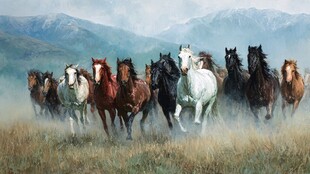 万马奔腾草原间