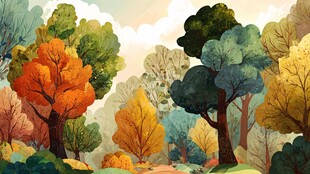 秋日多彩森林美景