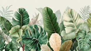 热带植物叶的清新图案