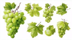 清新绿葡萄与叶片组合
