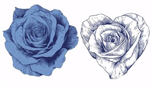 蓝玫瑰与心形玫瑰插画