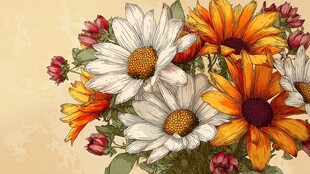 手绘多彩雏菊插画