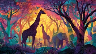 梦幻丛林中的动物剪影