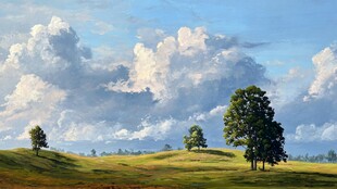 草原风光下的葱郁树木