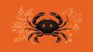 橙色背景上的精致螃蟹图案