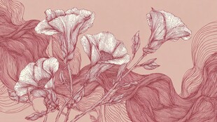 粉色线条绘就的花卉图案