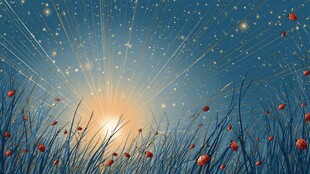 日出下的花草星空美景