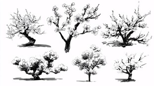 水墨风格树木插画集合