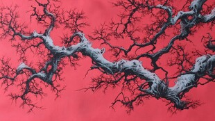 红梅枝干映红背景