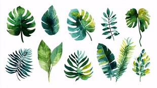 水彩绘热带风情绿叶集合