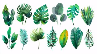 水彩风热带绿植叶片集合
