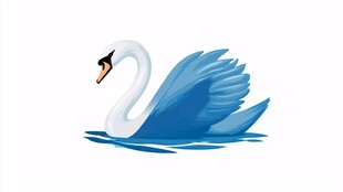 蓝色天鹅水中优雅游弋