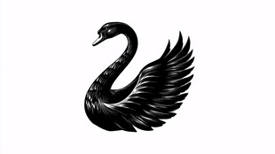 黑天鹅优雅剪影图案