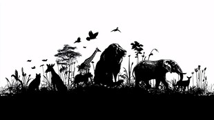 非洲草原动物剪影景观