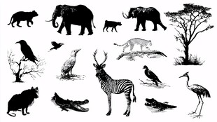 野生动物剪影集合