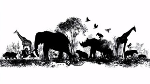 非洲野生动物剪影集合