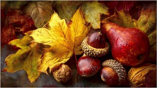 秋日果实与落叶的美妙组合