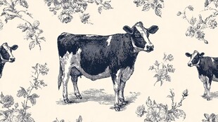 黑白奶牛花卉图案背景图