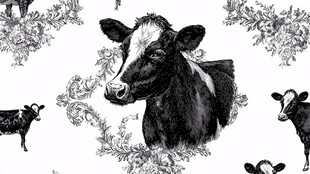 黑白奶牛花卉图案插画