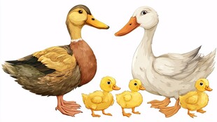 鸭家庭温馨相聚画面