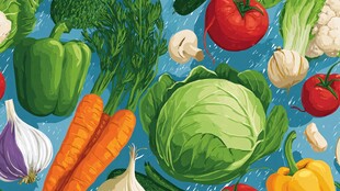 缤纷多彩的新鲜蔬菜世界