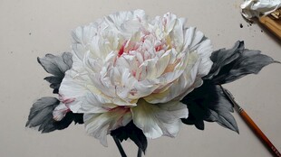 手绘白牡丹花卉艺术作品