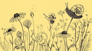 蜗牛漫步于花草间的景致