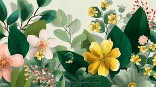 春日繁花绿植清新插画