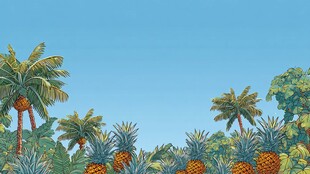 菠萝园中的热带风光