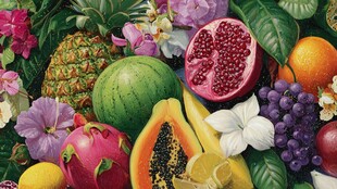 缤纷多彩的水果花卉组合