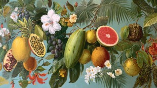 热带水果花卉装饰画