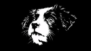 黑白小狗头像剪影