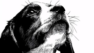 仰头小狗黑白插画