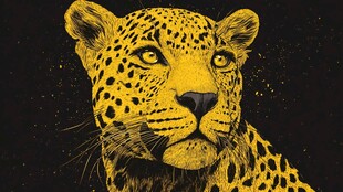 黄色猎豹头像艺术插画