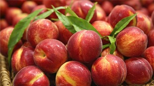 新鲜油桃饱满色泽诱人