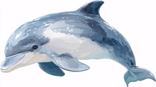 可爱海豚水中畅游插画